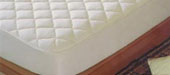 Fundas y protectores